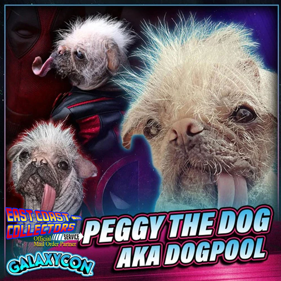 Peggy The Dog Pre-Order Autograph