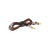 Focal Stellia included accessory cables: brown 1.2 m 3.5 mm jack cable and 3 m 4-pin XLR balanced cable with silver metal connectors and gold-plated tips