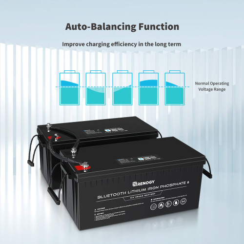 12 Volt 200Ah Lithium Iron Phosphate Battery w/ Bluetooth