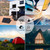 Renogy 100 Watt Mono Foldable Solar Suitcase