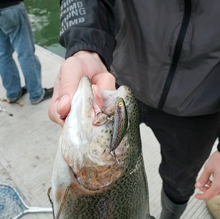 Fishhead Custom Lures Custom mini jerkbait Rainbow Trout