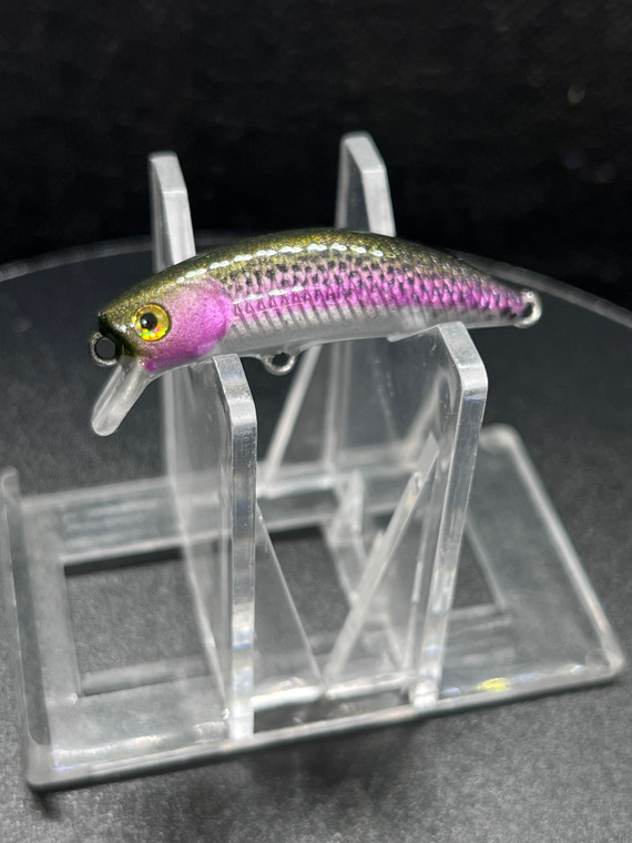 Custom Painted mini jerkbait - Rainbow Trout