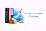 Future Wholesale Outlook & Innovation