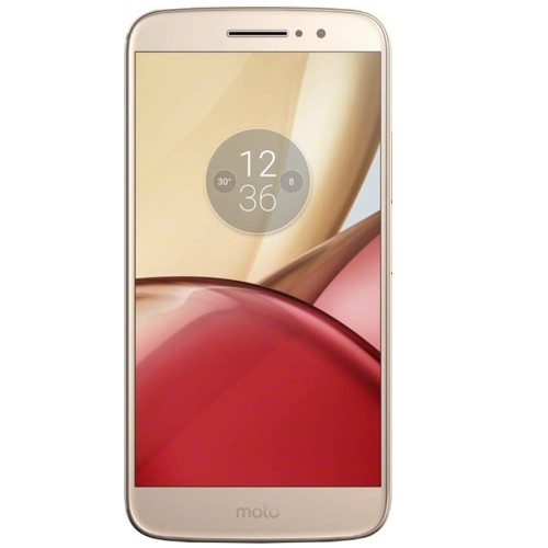 Wholesale Motorola XT1663 Moto M 4GB Gold | TG Wireless
