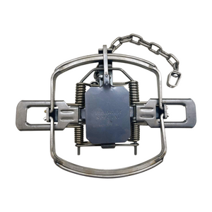 Bridger #5 Coilspring Offset Laminated