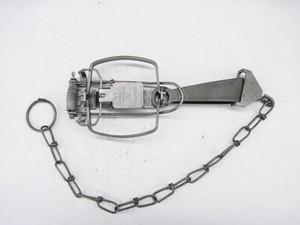 Sleepy Creek #1 LSG ( Guard - LSG )