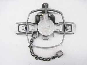 Sleepy Creek #3 OS Coilspring