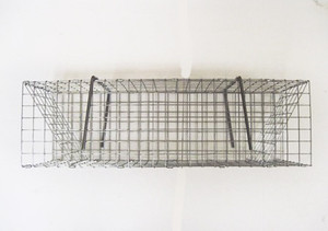 Folding Colony Muskrat Trap - 7x7x24