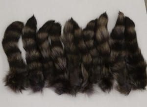 Tanned Raccoon Tail on Ball Chain