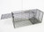 Bobcat Cage Trap