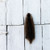 Muskrat - Professionally Tanned Pelt
