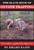 The Black Book of Coyote Trapping - Kellen Kaatz