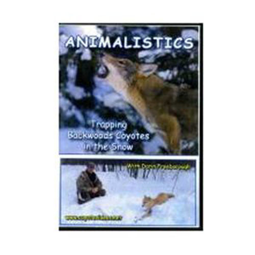 Animalistics Trapping Backwood Coyote in Snow - Freeborough