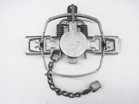 Sleepy Creek #3 OS Coilspring