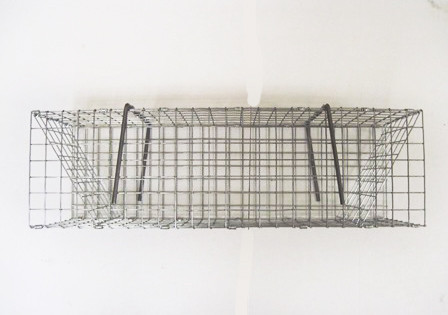 Folding Colony Muskrat Trap - 6x6x24