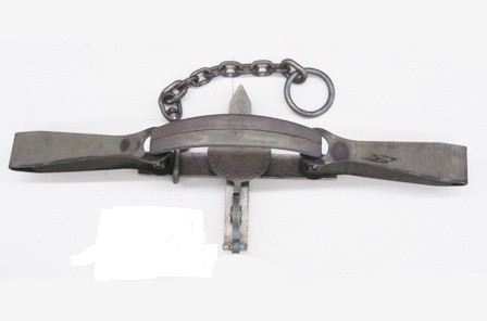 DFT #6 Bear Trap
