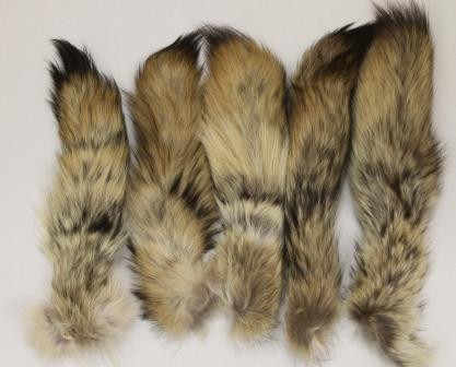 Coyote Tail on Ball Chain
