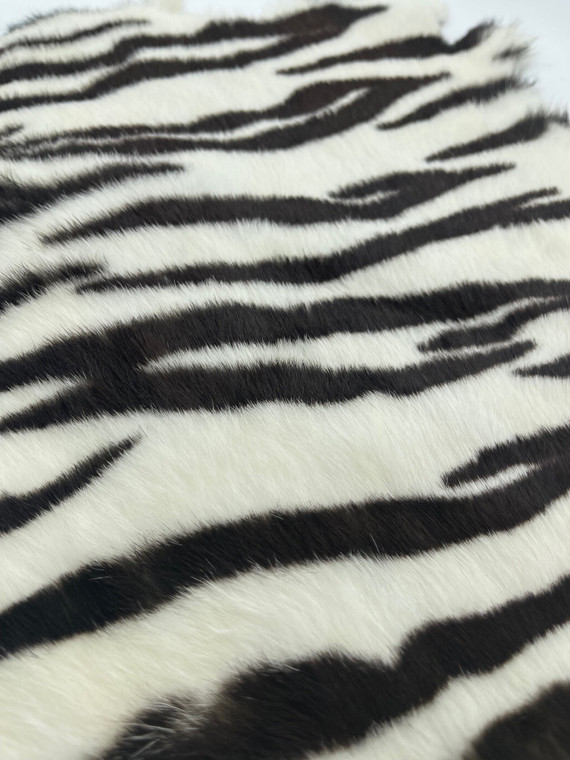 Zebra Rabbits