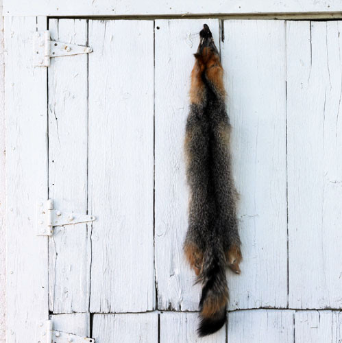 Grey Fox - Professionally Tanned Pelt