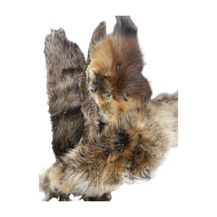 Beaver Fur for Fly Tying