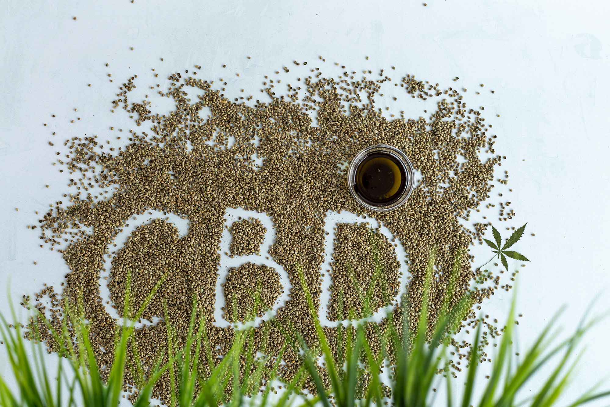 cbd-header.jpg