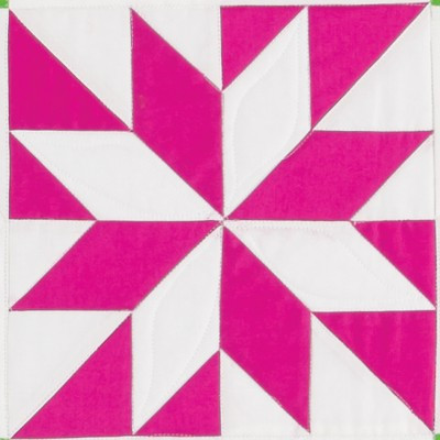 GO! LeMoyne Star Prism Quilt (one block)