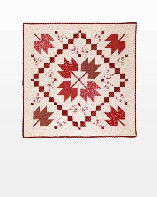 pq11736-go-sugar-maple-square-wall-hanging-flat-web
