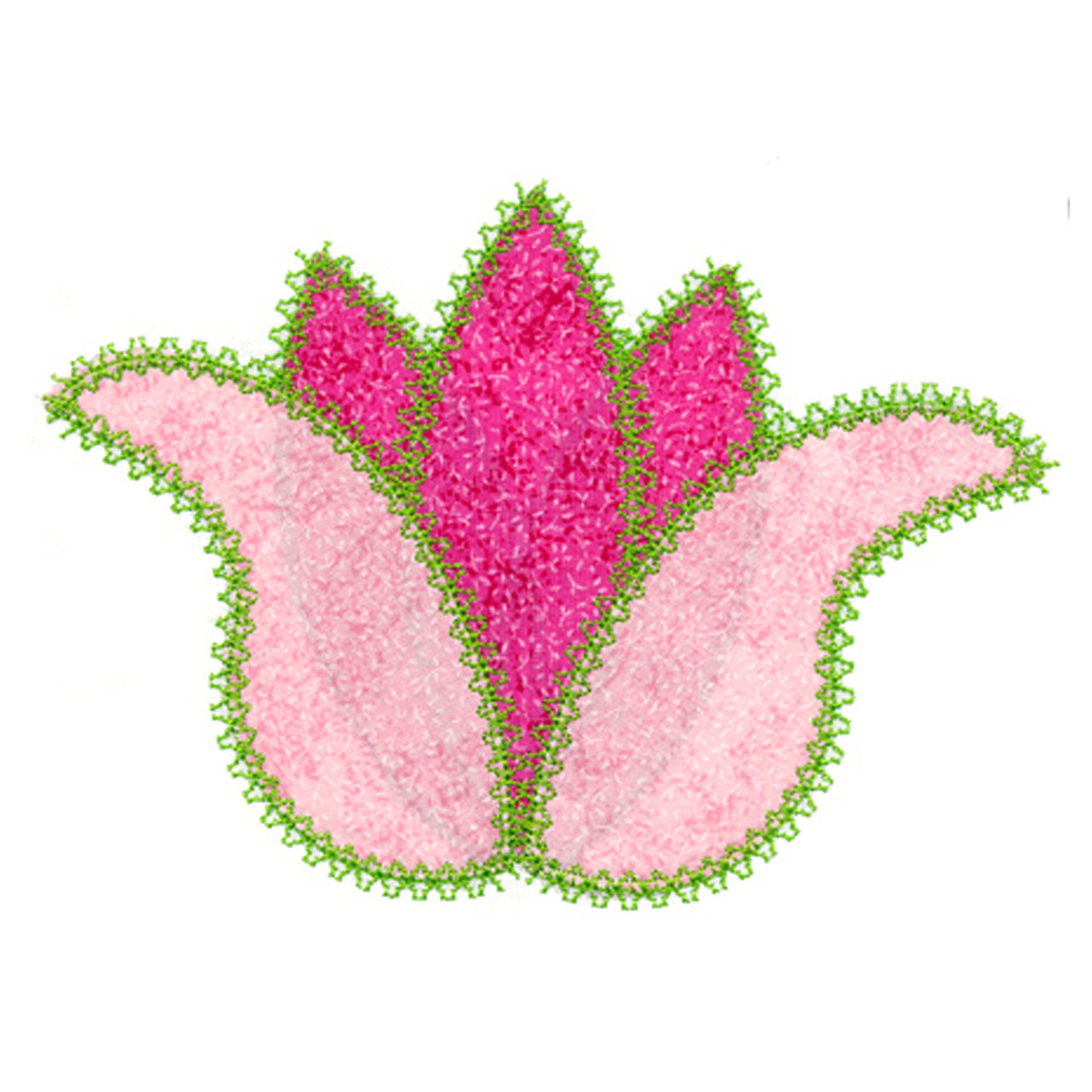 Tulip 5