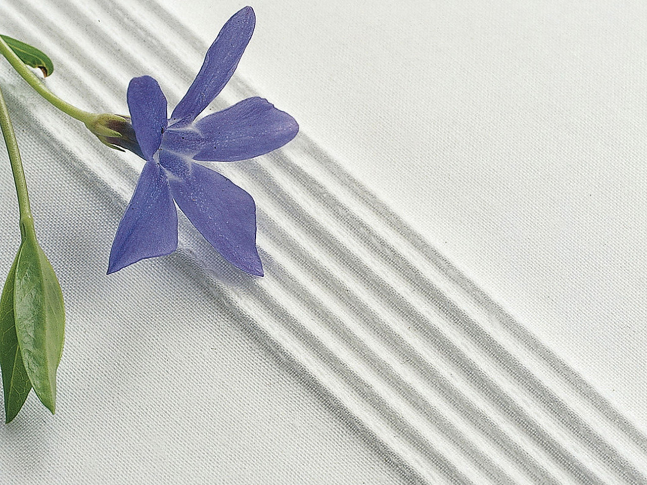 7-Groove-Pin-Tuck-Foot