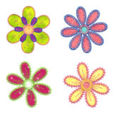 crazy petals d