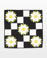 pq12117_go_daisy_chain_wall_hanging_web