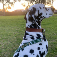 Sew Your Own Dog Lead