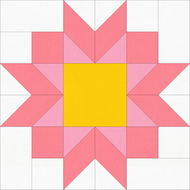 Petals Block of the Month 9