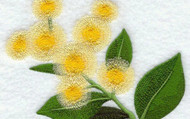 Spring Embroidery Design Trends Inspired by Australia's Golden Wattle