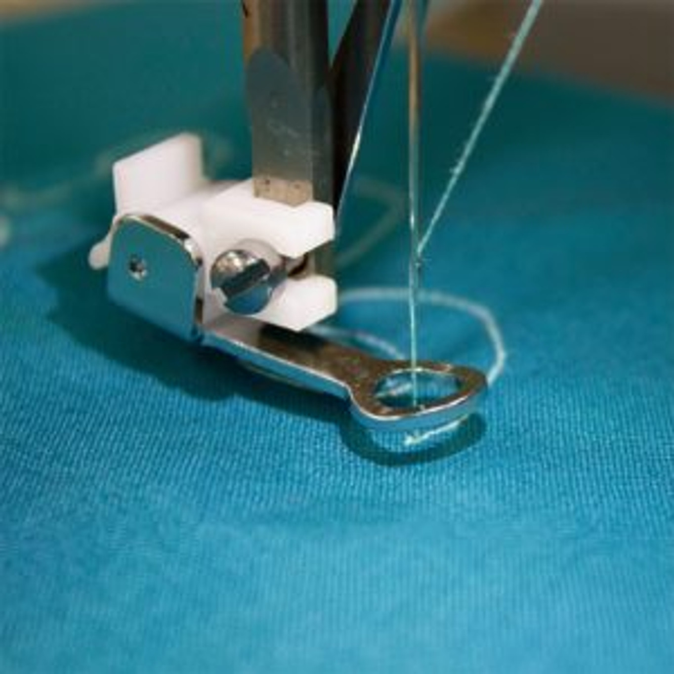 Sew What's Free-Motion Sewing?