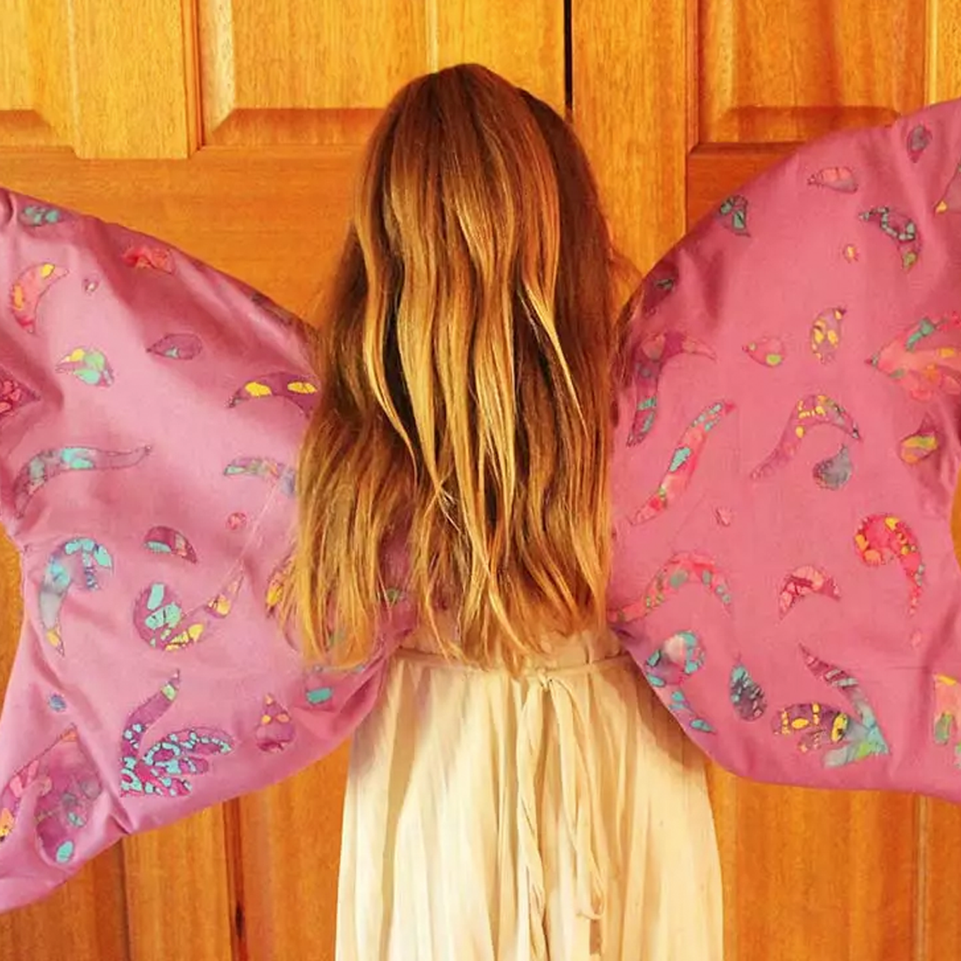 Fairy Wings