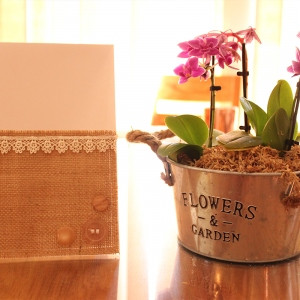 Stitched Greetings Card