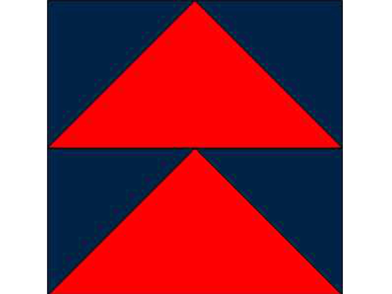 Beyond Basic Borders - Flying Geese Block