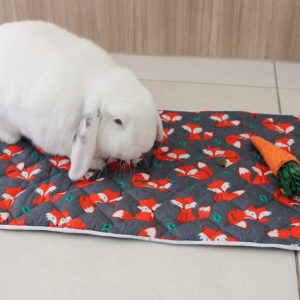Quilted Pet Blanket