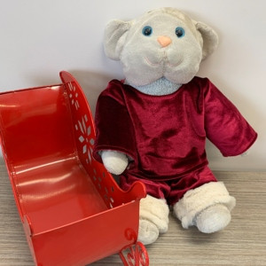 Teddy Santa Suit