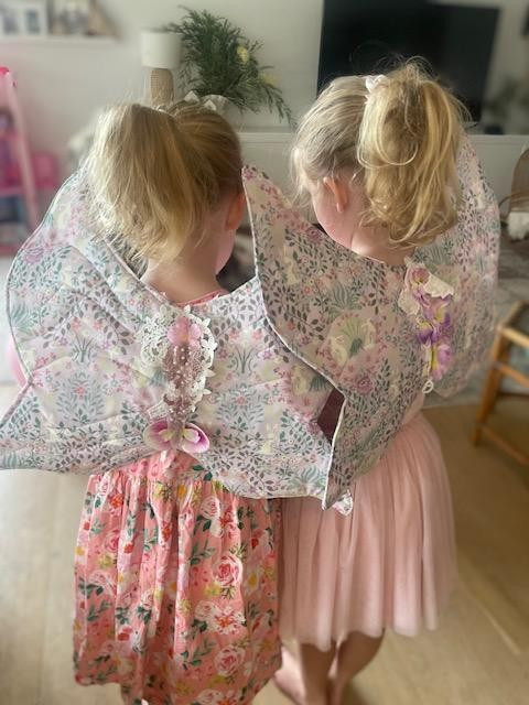 Hand crafted Fairy wings