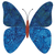 go! butterfly by edyta sitar