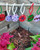 pq12032-1-web