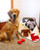 pq12013-go_patchwork_puppies-flat-web