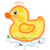 duck 5