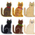 calico cats group