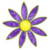 daisy l3