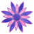 daisy d4