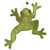 leaping frog 2 5
