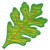 Leaf B1